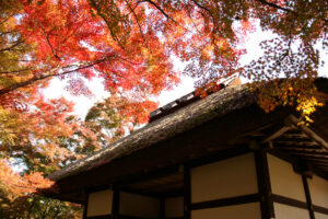 常寂光寺