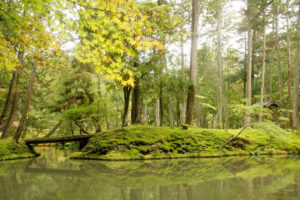 西芳寺